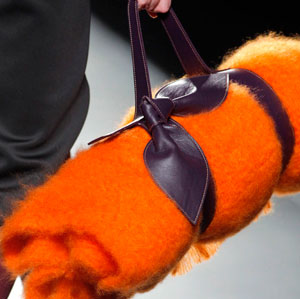 Desfile de Ulises Mérida